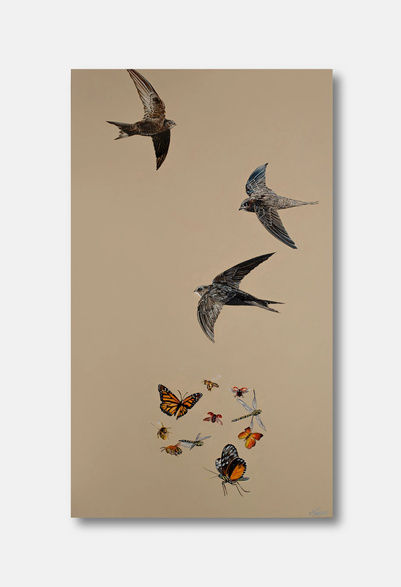 Rapid Swifts and Beautiful Insects - alternate view